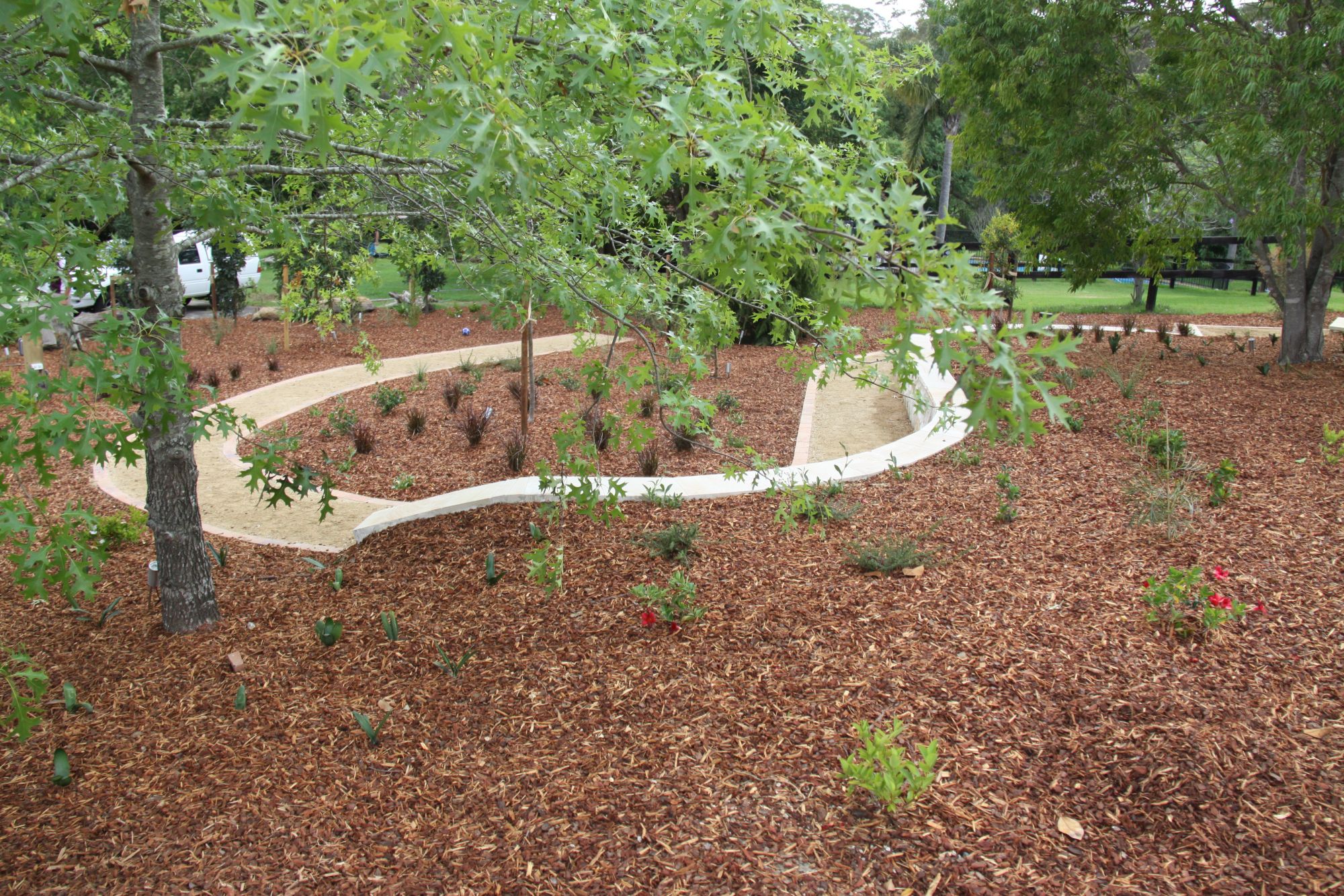 Mulching Your Garden