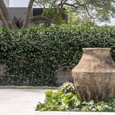 The ‘Resort at Home’ Trend: Luxury Poolscapes