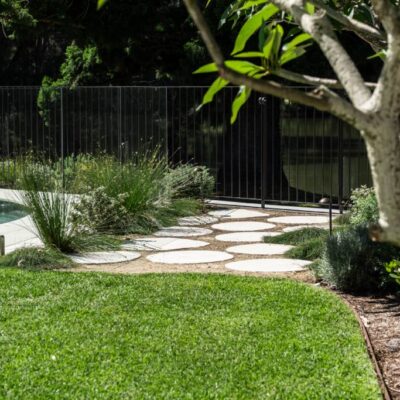 Salt, Wind, and Style: The Northern Beaches Plant Palette