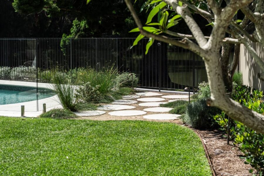 Salt, Wind, and Style: The Northern Beaches Plant Palette